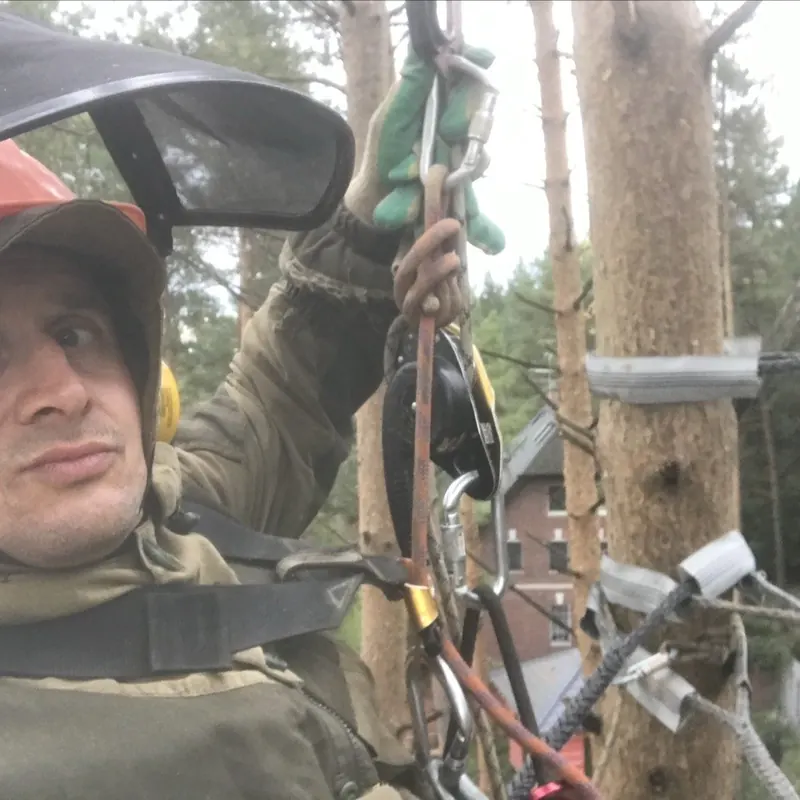 Монтаж стяжки на стволе арбористом