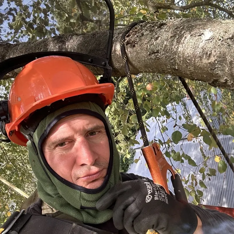 Спуск тяжёлой ветки на канатах рядом с крышей