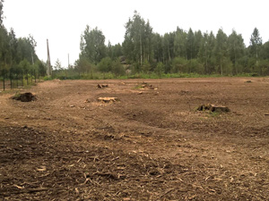 Земельный участок после расчистки от деревьев и веток